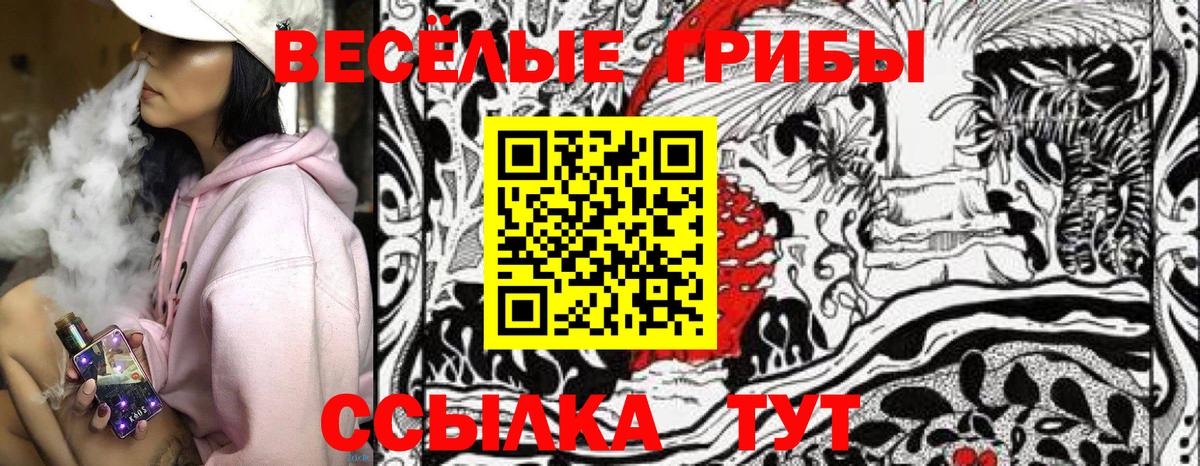 Галлюциногенные грибы Psilocybine cubensis  Псилоцибиновые грибы Cubensis  Вход с VPN  Саранск 